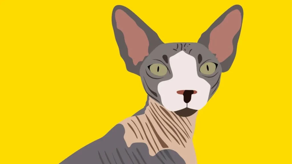 Sphynx Cat Face