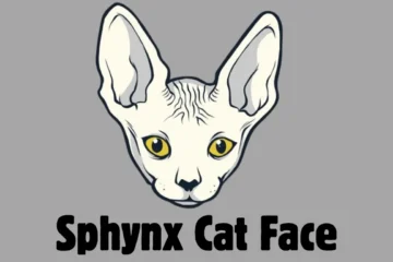 Sphynx Cat Face