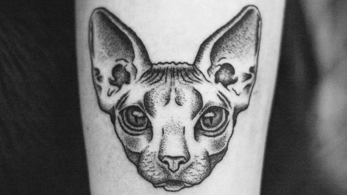 Sphynx Cat Tattoo