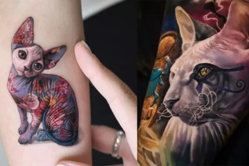 Sphynx Cat Tattoo