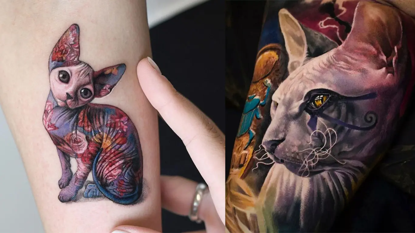 Sphynx Cat Tattoo