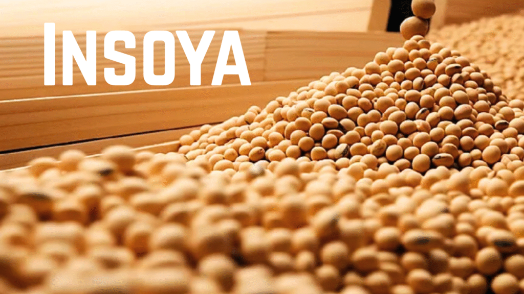 Insoya